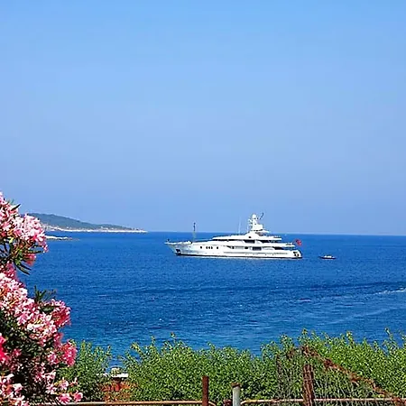 Dub 3* Cavtat